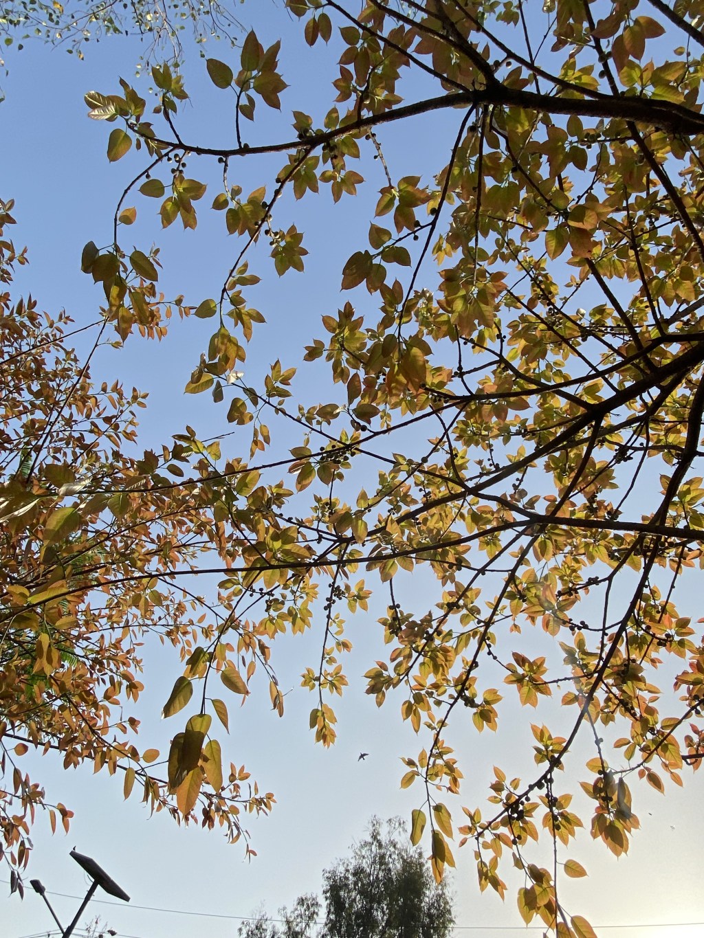 General Studies I- Strategy &&nbsp;Notes