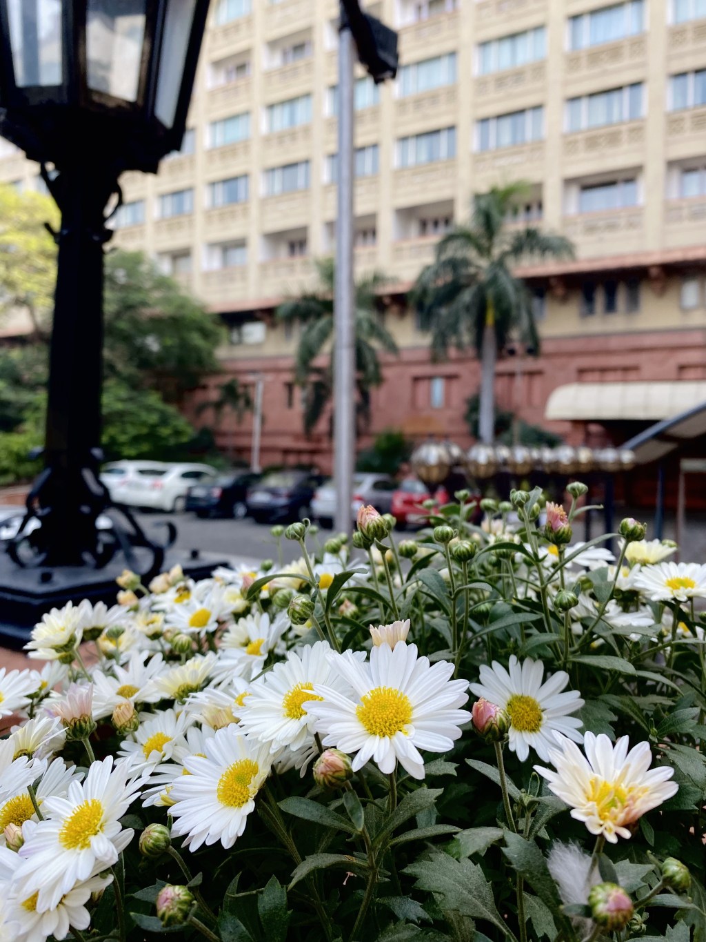 Let go of past&nbsp;failures